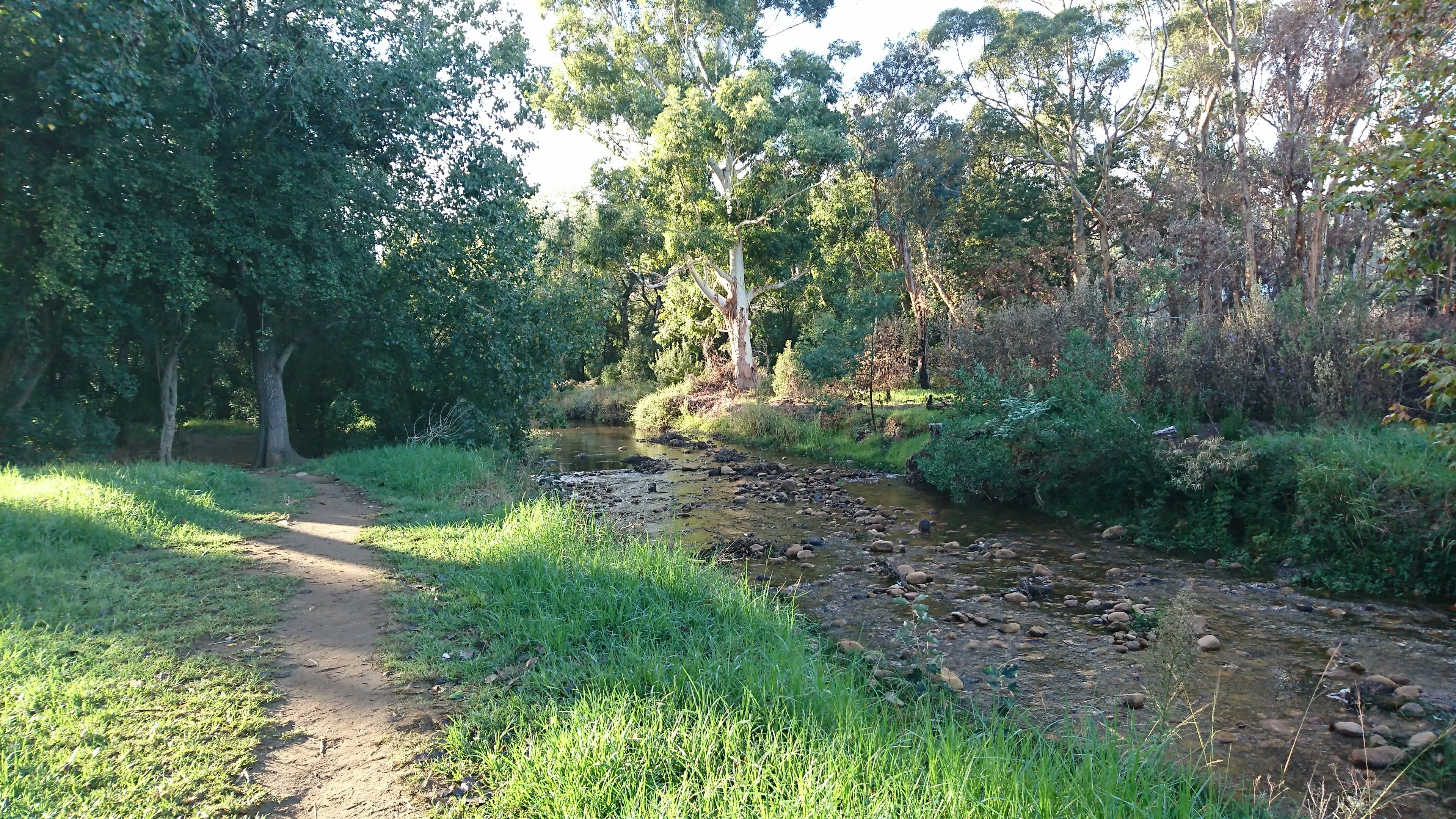 Nature